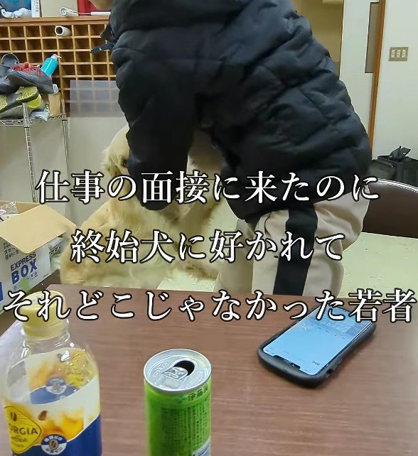 若者に懐きすぎた！？