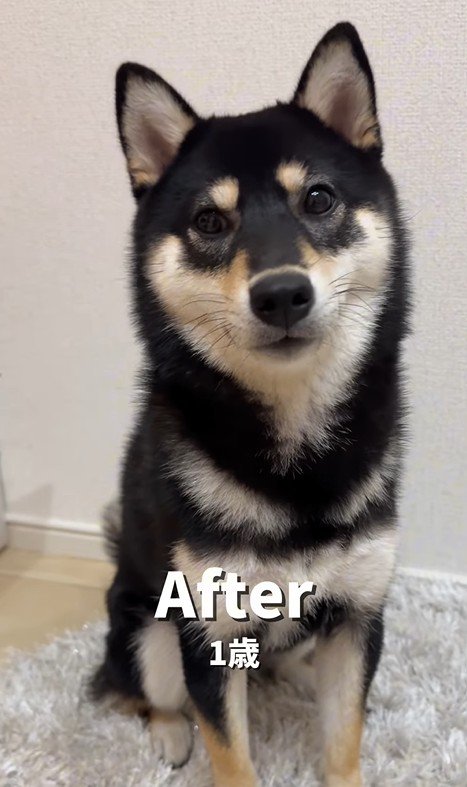 はるちゃんの成長5