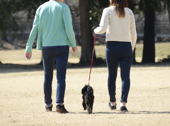 犬の散歩をする男女に後ろ姿