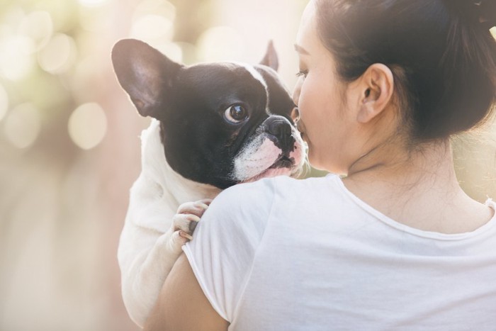 ボストンテリアを抱いてキスをする女性