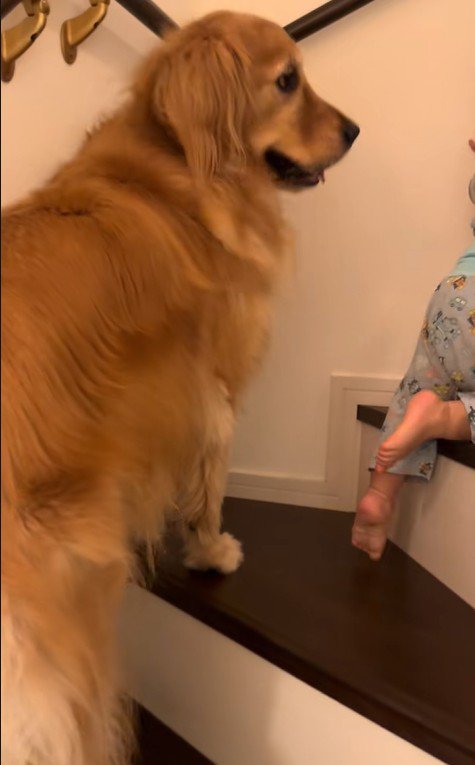 階段を登る男の子とラビーくん4