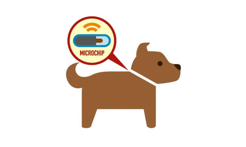 犬にマイクロチップを装着するイラスト