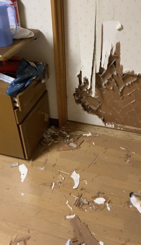 木くずが散らばった床