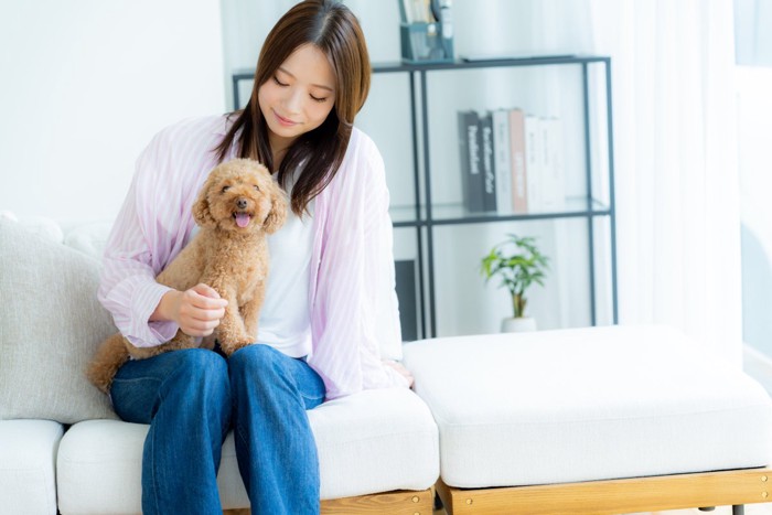 女性の膝の上に乗る犬