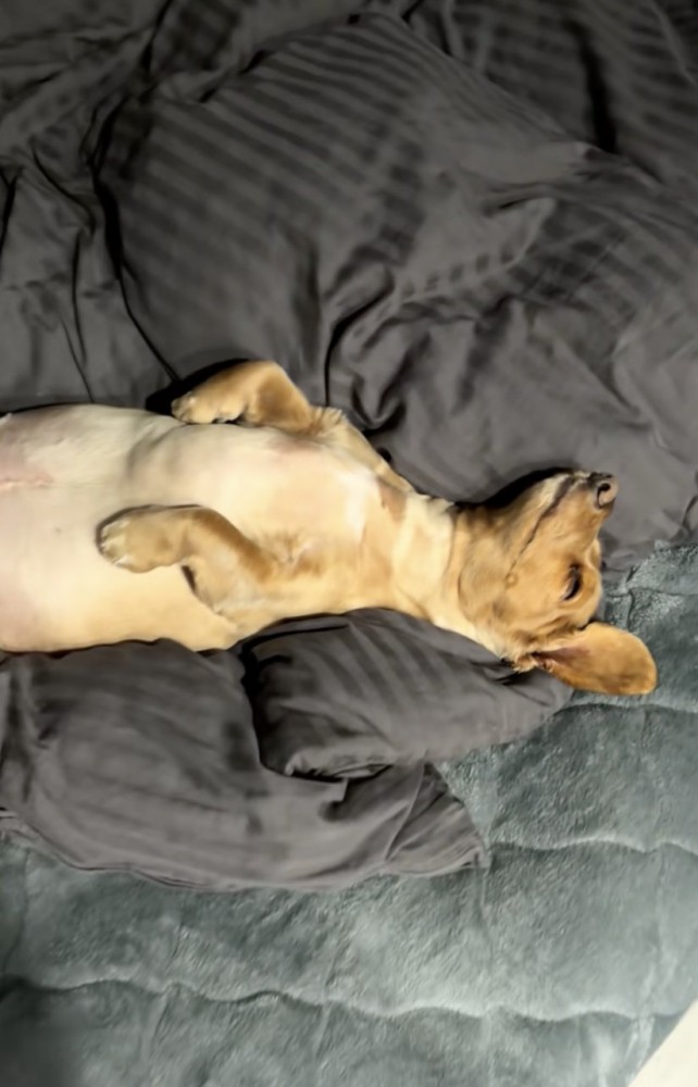 リラックスの極み…！