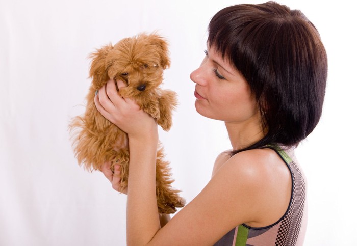 抱っこされて顔を背ける子犬と女性 