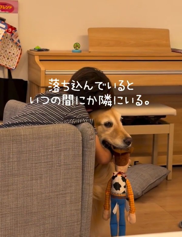 落ち込む息子さんときなこちゃん
