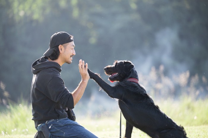 男性と犬