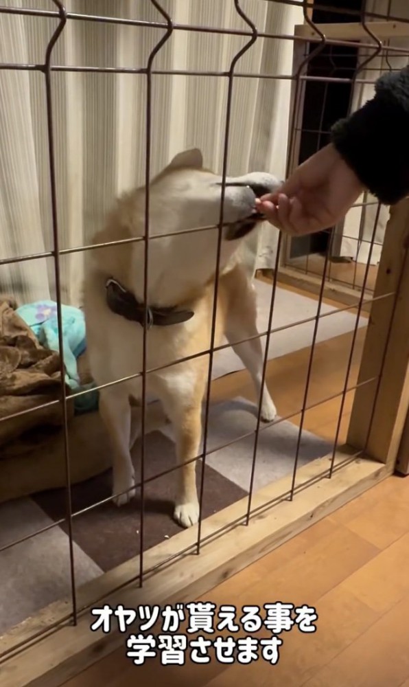 覚えてもらう