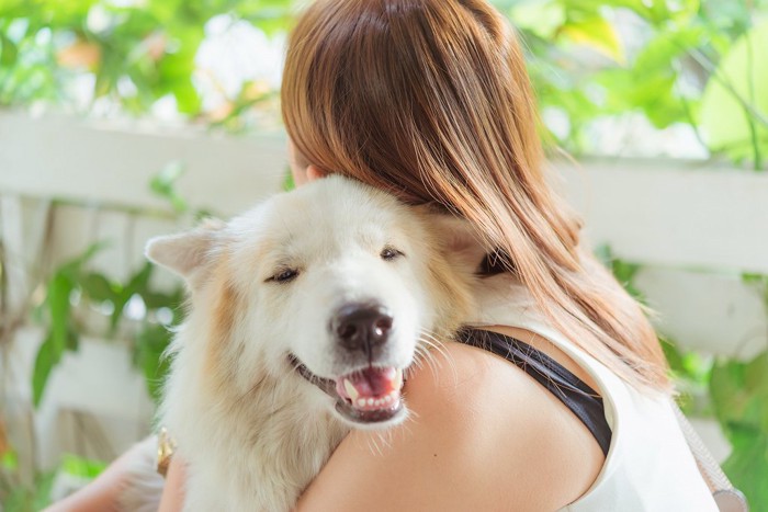 飼い主と抱き合う犬