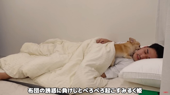 寝ている男性を激しく舐める犬