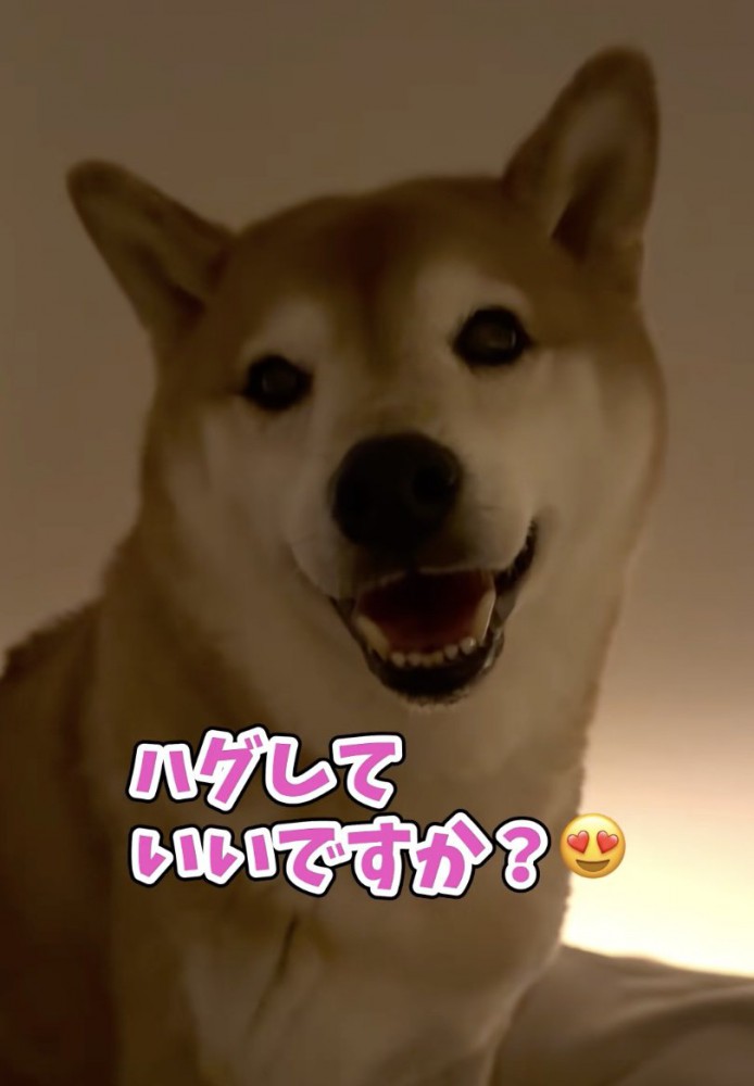 突然の神対応！