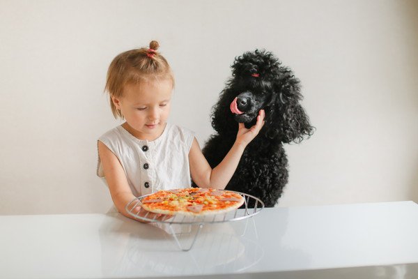 犬がピザを食べたがる時の対策 