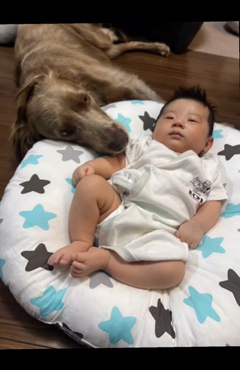ルルちゃんと赤ちゃん⑩