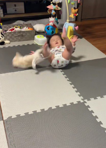 赤ちゃんがコロン!