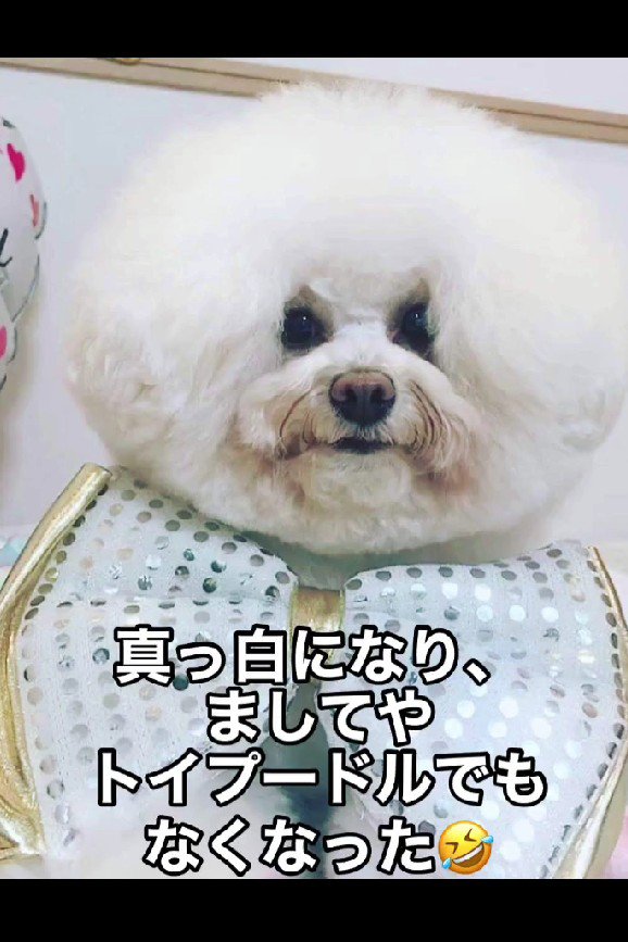 なぜか真っ白に！！