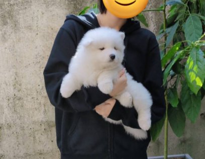抱っこ