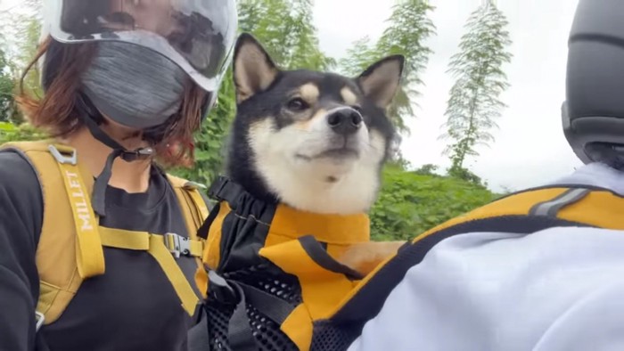 バイクに乗るすみすみちゃん