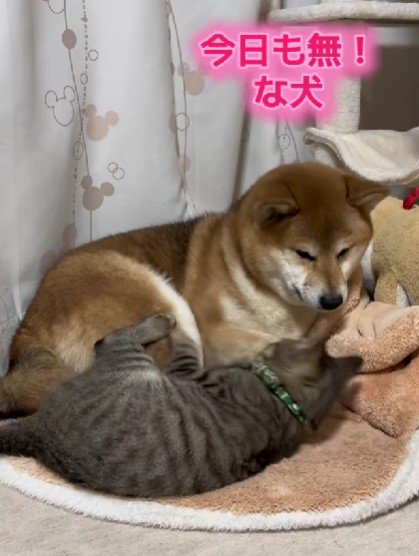 これからも仲良くね!