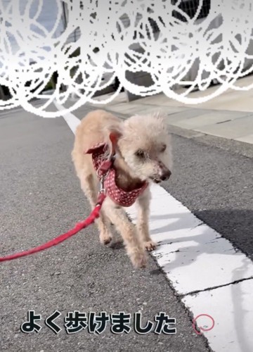 ゆっくりと、ゆっくりと