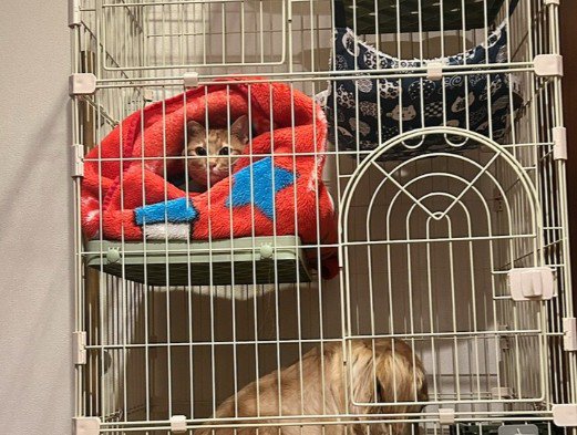 1階に誰かがいる…