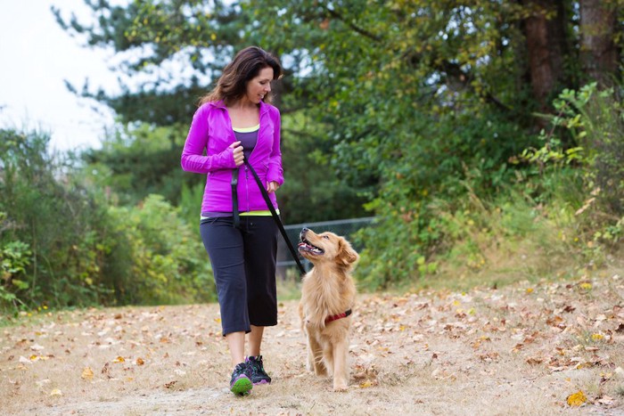 アイコンタクトをしながら散歩する犬と女性