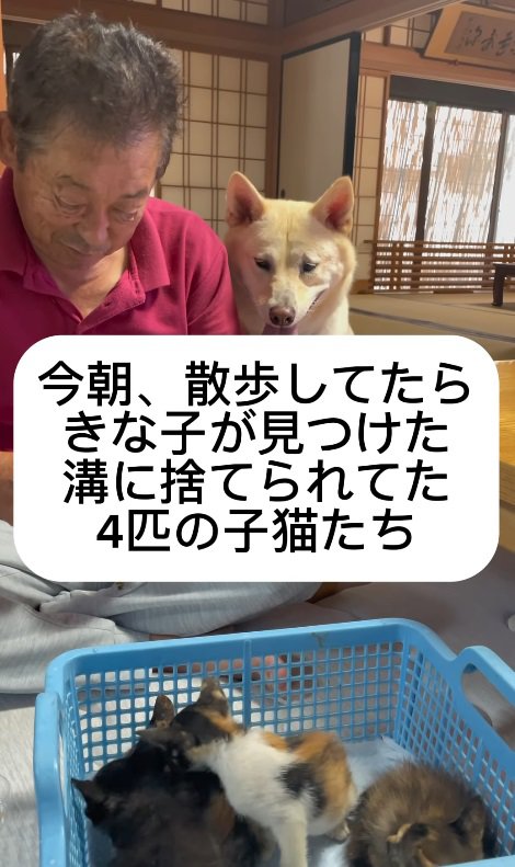 子猫との出会い