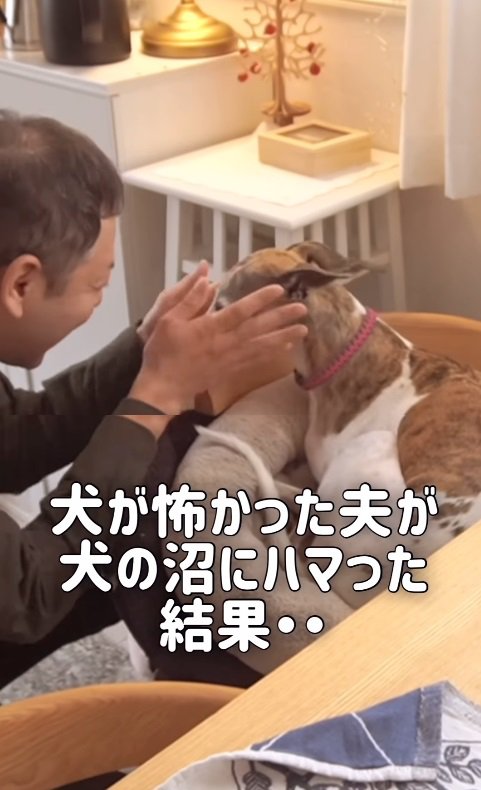 すっかり犬好きに…！