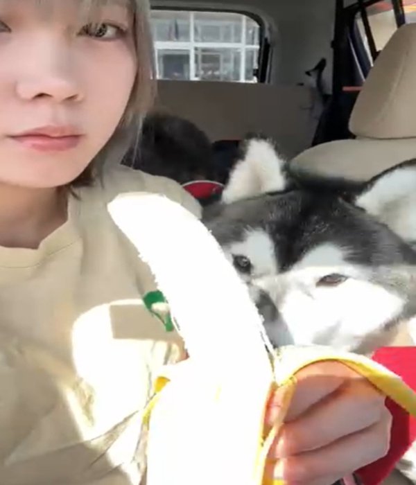 バナナを食べる女性と犬