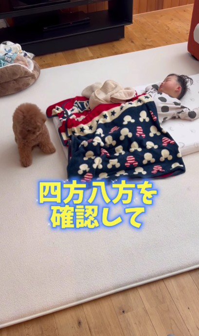 四方八方を常に確認!!