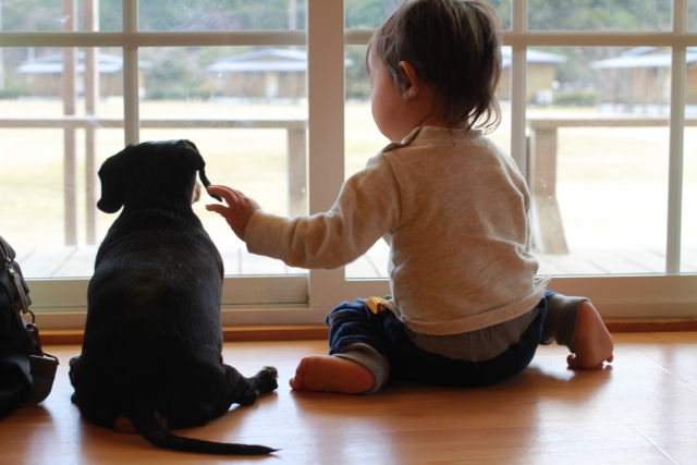 犬と子供の写真