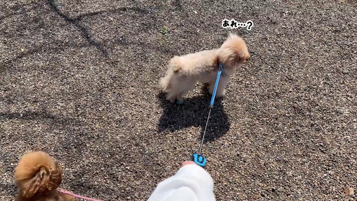 「あれ？誰かいないかも…」
