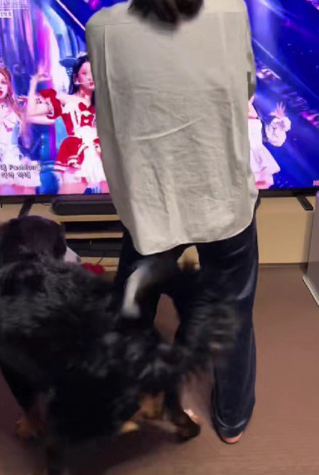 音楽に合わせてクネクネ♪