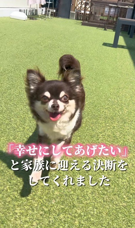 イブちゃんが幸せを掴むまで6