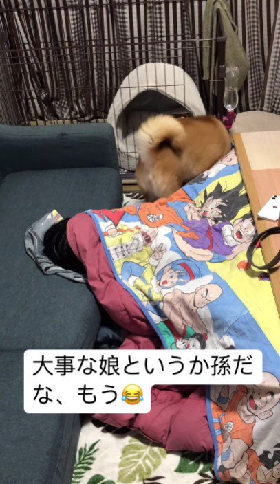 自分で扉を開けて…