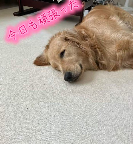 「今日も頑張ったなあ」