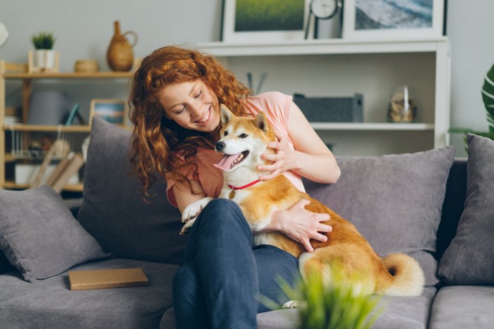 ソファの上で柴犬を撫でる女性