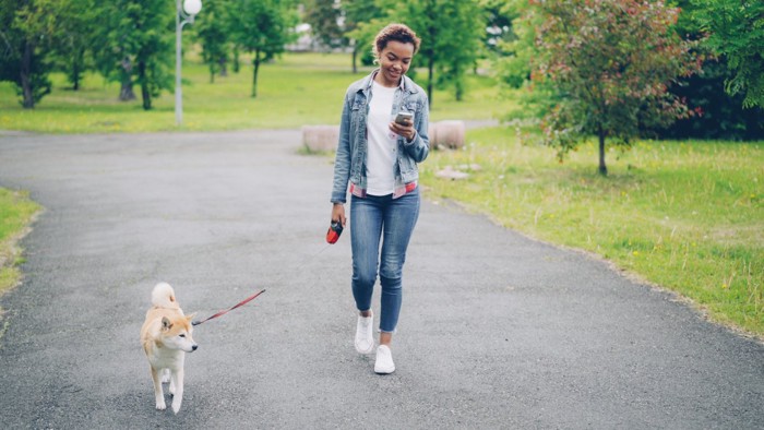 スマホを見ながら犬の散歩をする少女