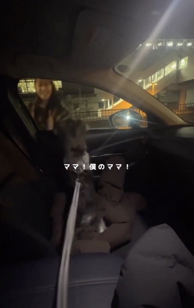 「会いたかったぁぁ」