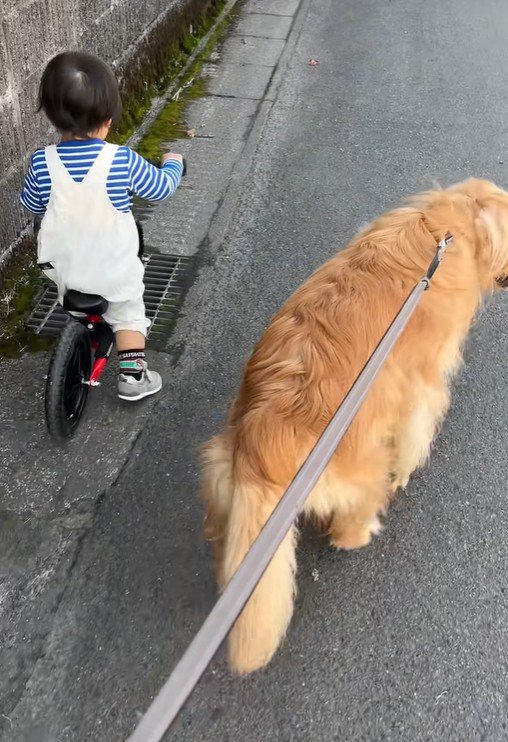 自転車に乗ってお散歩