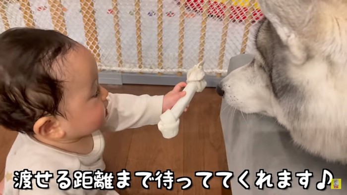 仲直りのふたり