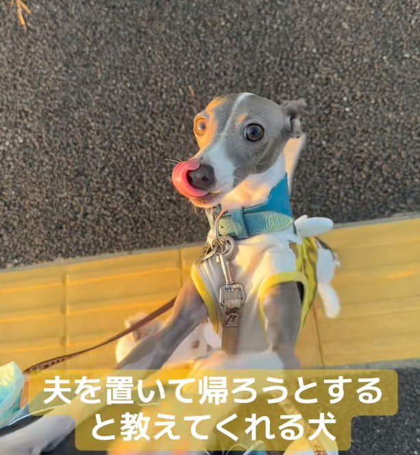 「パパがいないよ！？」