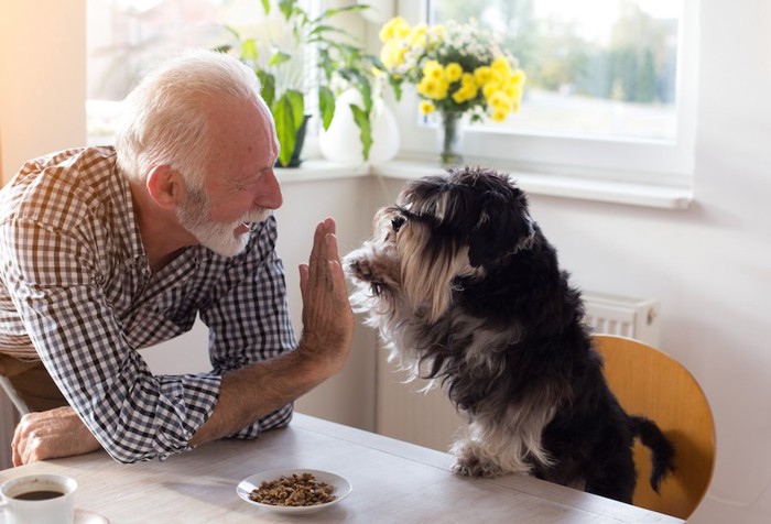 ハイタッチする高齢の男性と犬