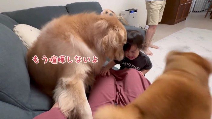 「ごめんね」