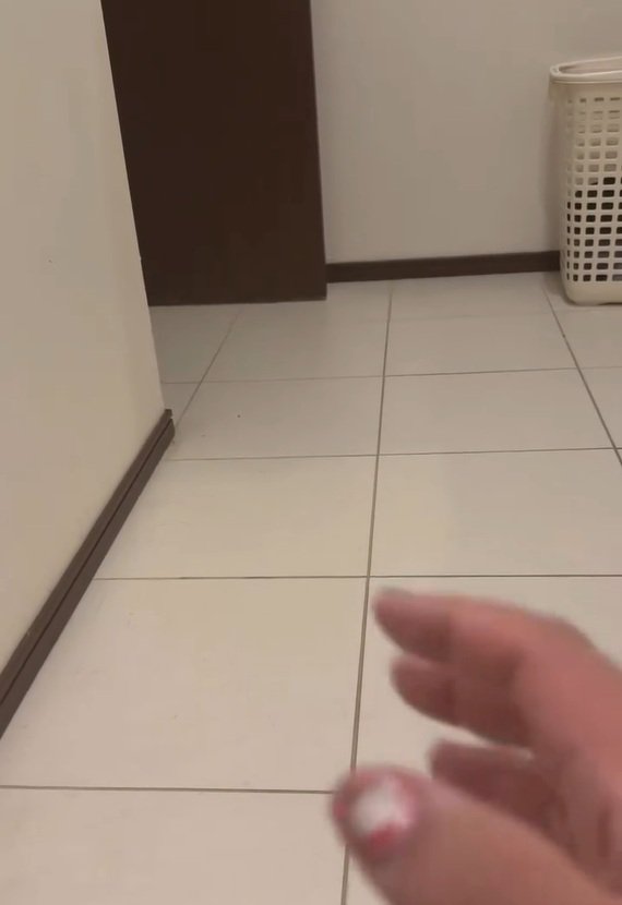 他の犬を撫でるふりをする飼い主さん