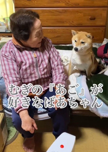 家の中での様子