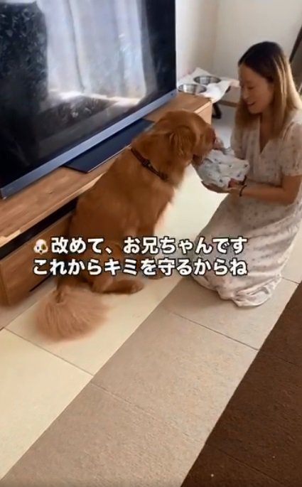 赤ちゃんにまた挨拶するラジャーくん