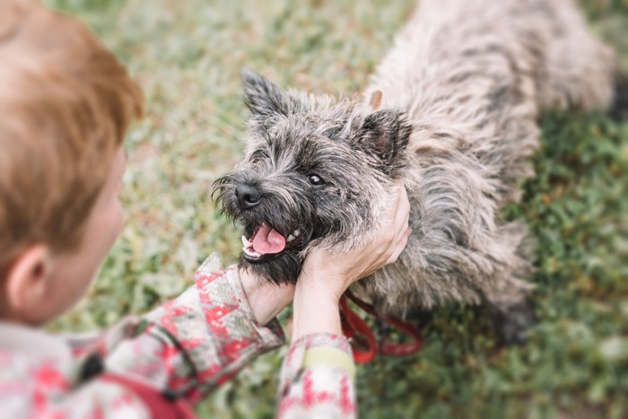 笑顔の犬の首元に両手を添える人