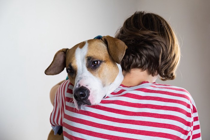 犬を抱く女性の後ろ姿