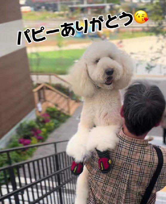 「やっぱりパパが一番♡」